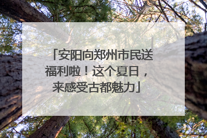安阳向郑州市民送福利啦！这个夏日，来感受古都魅力