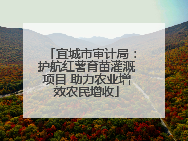 宜城市审计局：护航红薯育苗灌溉项目 助力农业增效农民增收