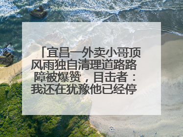 宜昌一外卖小哥顶风雨独自清理道路路障被爆赞，目击者：我还在犹豫他已经停车清障了