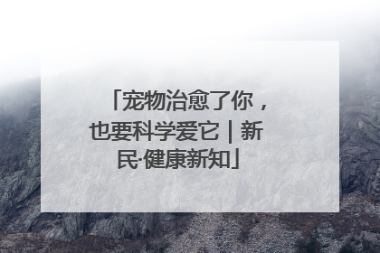 宠物治愈了你，也要科学爱它｜新民·健康新知