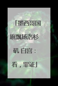 墨西哥国旗飘扬洛杉矶 白宫：看，罪证