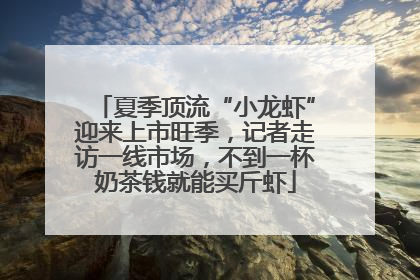 夏季顶流“小龙虾”迎来上市旺季，记者走访一线市场，不到一杯奶茶钱就能买斤虾