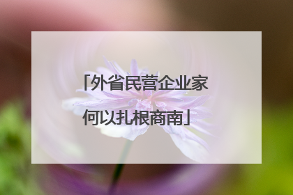 外省民营企业家何以扎根商南