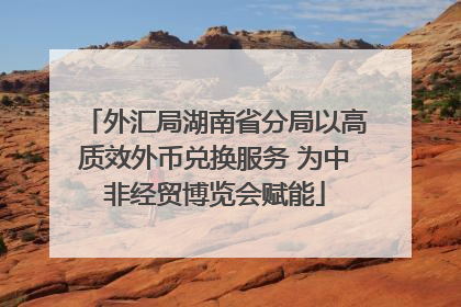 外汇局湖南省分局以高质效外币兑换服务 为中非经贸博览会赋能