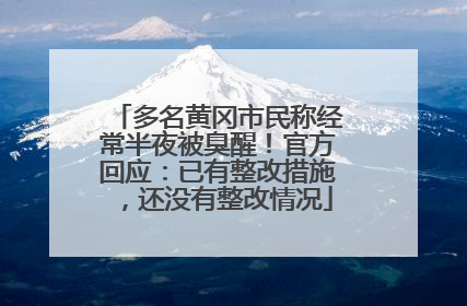多名黄冈市民称经常半夜被臭醒！官方回应：已有整改措施，还没有整改情况