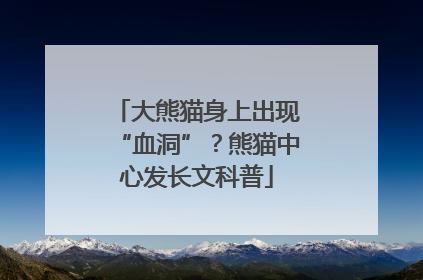 大熊猫身上出现“血洞”？熊猫中心发长文科普