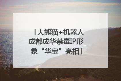 大熊猫+机器人 成都成华禁毒IP形象“华宝”亮相