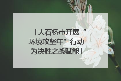 大石桥市开展“环境攻坚年”行动为决胜之战赋能