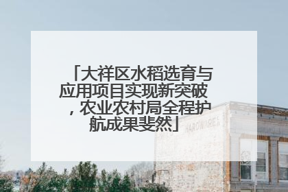 大祥区水稻选育与应用项目实现新突破，农业农村局全程护航成果斐然