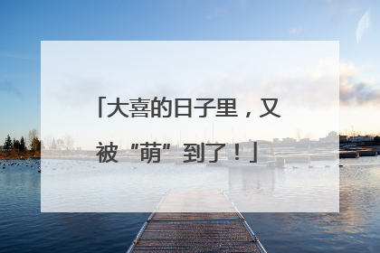 大喜的日子里，又被“萌”到了！