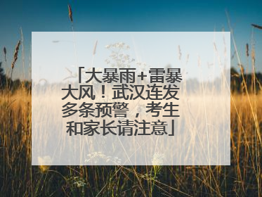 大暴雨+雷暴大风！武汉连发多条预警，考生和家长请注意