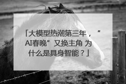 大模型热潮第三年，“AI春晚”又换主角 为什么是具身智能？