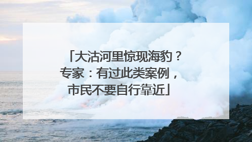 大沽河里惊现海豹？专家：有过此类案例，市民不要自行靠近