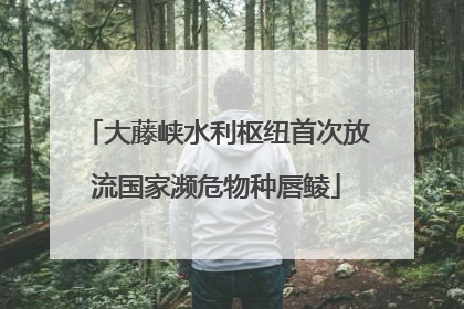 大藤峡水利枢纽首次放流国家濒危物种唇鲮