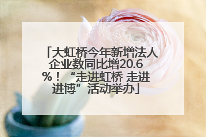 大虹桥今年新增法人企业数同比增20.6%！“走进虹桥 走进进博”活动举办
