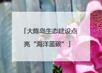 大陈岛生态建设点亮“海洋蓝碳”