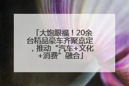 大饱眼福！20余台精品豪车齐聚嘉定，推动“汽车+文化+消费”融合