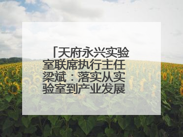 天府永兴实验室联席执行主任梁斌：落实从实验室到产业发展的最后一公里