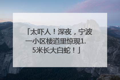 太吓人！深夜，宁波一小区楼道里惊现1.5米长大白蛇！