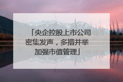 央企控股上市公司密集发声，多措并举加强市值管理