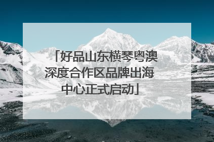 好品山东横琴粤澳深度合作区品牌出海中心正式启动