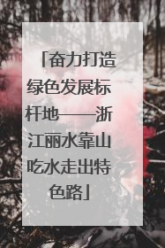 奋力打造绿色发展标杆地——浙江丽水靠山吃水走出特色路