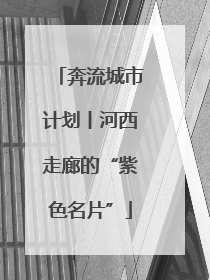奔流城市计划丨河西走廊的“紫色名片”