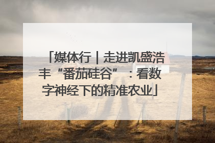 媒体行｜走进凯盛浩丰“番茄硅谷”：看数字神经下的精准农业
