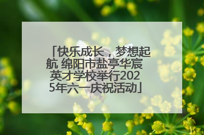 快乐成长，梦想起航 绵阳市盐亭华宸英才学校举行2025年六一庆祝活动
