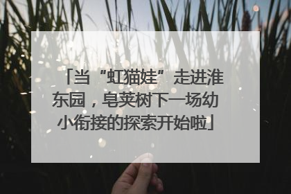 当“虹猫娃”走进淮东园，皂荚树下一场幼小衔接的探索开始啦