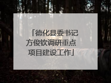 德化县委书记方俊钦调研重点项目建设工作