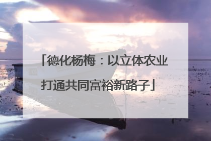 德化杨梅：以立体农业打通共同富裕新路子