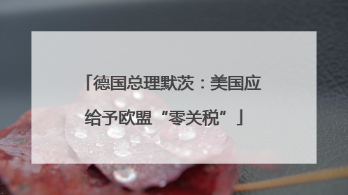 德国总理默茨：美国应给予欧盟“零关税”