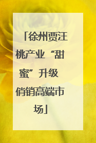 徐州贾汪桃产业“甜蜜”升级 俏销高端市场