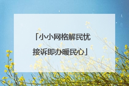 小小网格解民忧 接诉即办暖民心