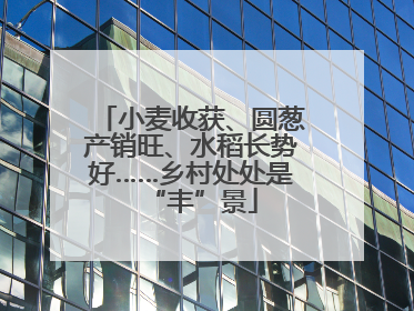 小麦收获、圆葱产销旺、水稻长势好……乡村处处是“丰”景