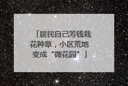 居民自己筹钱栽花种草，小区荒地变成“微花园”