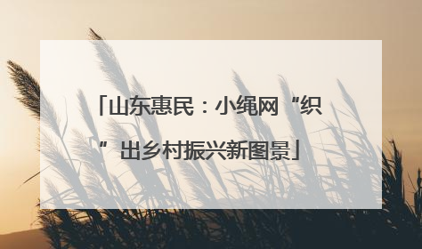 山东惠民：小绳网“织”出乡村振兴新图景