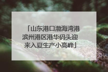 山东港口渤海湾港滨州港区港华码头迎来入夏生产小高峰