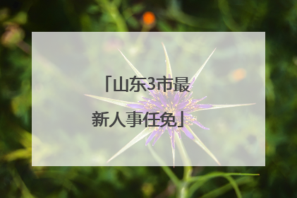 山东3市最新人事任免