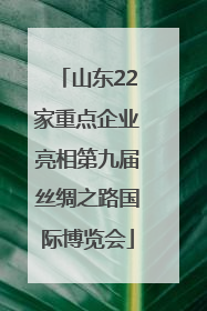 山东22家重点企业亮相第九届丝绸之路国际博览会