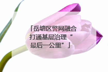 岳塘区警网融合 打通基层治理“最后一公里”