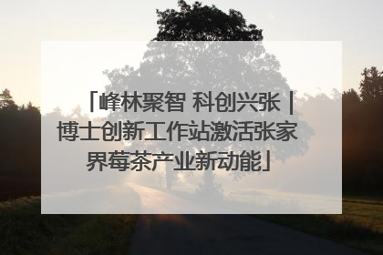 峰林聚智 科创兴张｜博士创新工作站激活张家界莓茶产业新动能