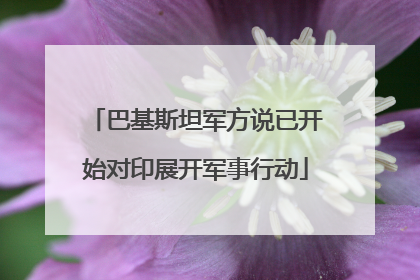 巴基斯坦军方说已开始对印展开军事行动