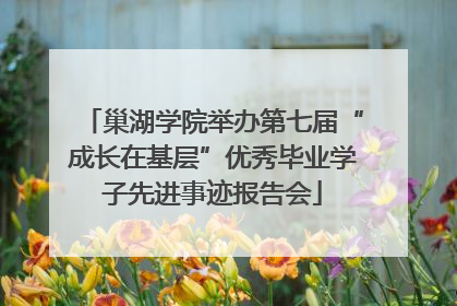 巢湖学院举办第七届“成长在基层”优秀毕业学子先进事迹报告会