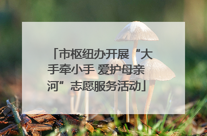 市枢纽办开展“大手牵小手 爱护母亲河”志愿服务活动