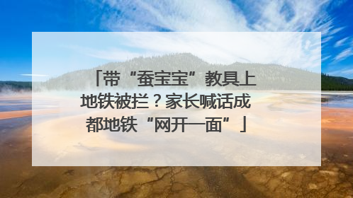 带“蚕宝宝”教具上地铁被拦？家长喊话成都地铁“网开一面”