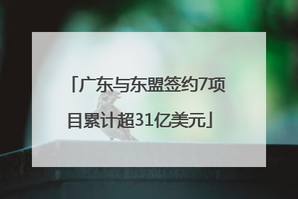 广东与东盟签约7项目累计超31亿美元