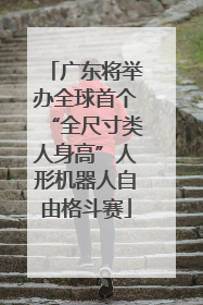 广东将举办全球首个“全尺寸类人身高”人形机器人自由格斗赛