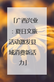 广西兴业：夏日文旅活动激发县域消费新活力